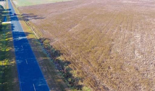 Photo of SOLD!!  17.6 Acres of Farm Land For Sale in Columbus County NC!