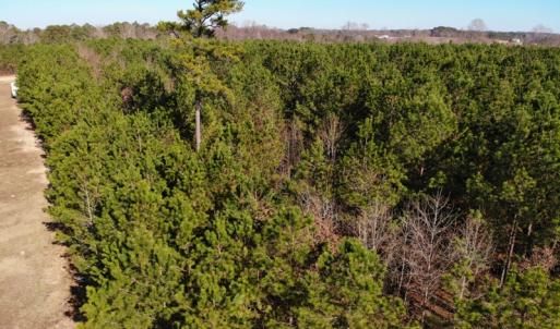 Photo of SOLD!!  12.52 Acres of Recreational Hunting Land For Sale in Nash County NC!