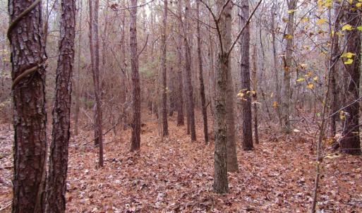 Photo of SOLD!!  12.52 Acres of Recreational Hunting Land For Sale in Nash County NC!