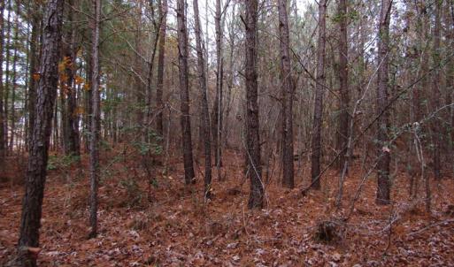 Photo of SOLD!!  12.52 Acres of Recreational Hunting Land For Sale in Nash County NC!