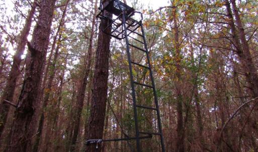 Photo of SOLD!!  12.52 Acres of Recreational Hunting Land For Sale in Nash County NC!