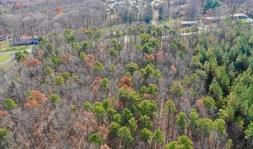 Photo of REDUCED!  1.6 Acres of Residential Hunting Land For Sale in Pittsylvania County VA!