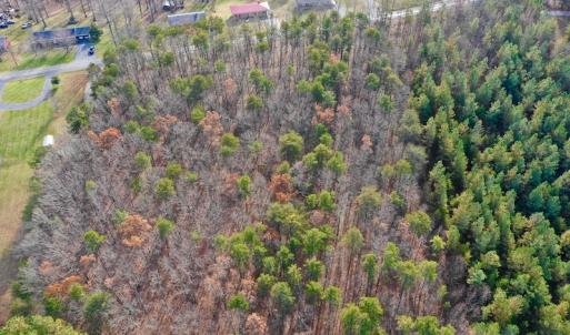 Photo of REDUCED!  1.6 Acres of Residential Hunting Land For Sale in Pittsylvania County VA!