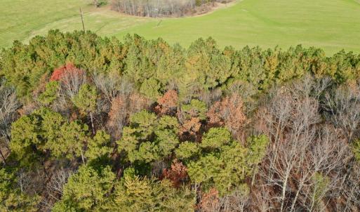 Photo of REDUCED!  1.6 Acres of Residential Hunting Land For Sale in Pittsylvania County VA!