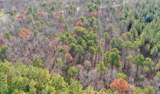 Photo of REDUCED!  1.6 Acres of Residential Hunting Land For Sale in Pittsylvania County VA!