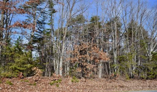 Photo of REDUCED!  1.6 Acres of Residential Hunting Land For Sale in Pittsylvania County VA!