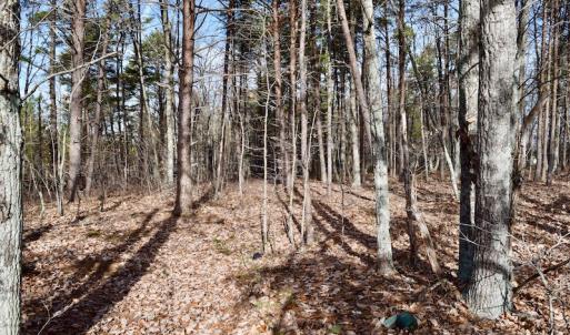 Photo of REDUCED!  1.6 Acres of Residential Hunting Land For Sale in Pittsylvania County VA!