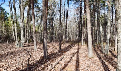 Photo of REDUCED!  1.6 Acres of Residential Hunting Land For Sale in Pittsylvania County VA!