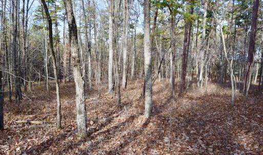 Photo of REDUCED!  1.6 Acres of Residential Hunting Land For Sale in Pittsylvania County VA!