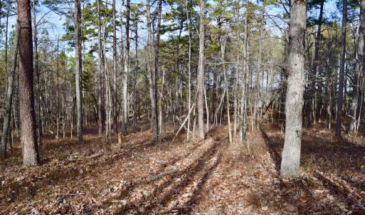 Photo of REDUCED!  1.6 Acres of Residential Hunting Land For Sale in Pittsylvania County VA!