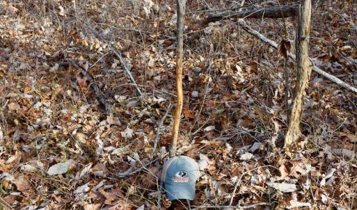 Photo of REDUCED!  1.6 Acres of Residential Hunting Land For Sale in Pittsylvania County VA!