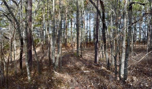 Photo of REDUCED!  1.6 Acres of Residential Hunting Land For Sale in Pittsylvania County VA!