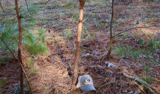 Photo of REDUCED!  1.6 Acres of Residential Hunting Land For Sale in Pittsylvania County VA!