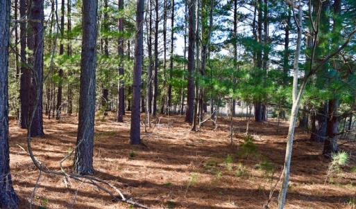 Photo of REDUCED!  1.6 Acres of Residential Hunting Land For Sale in Pittsylvania County VA!