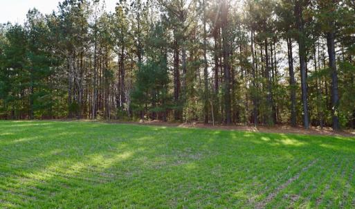 Photo of REDUCED!  1.6 Acres of Residential Hunting Land For Sale in Pittsylvania County VA!