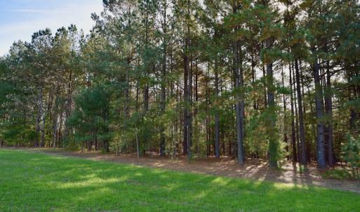 Photo of REDUCED!  1.6 Acres of Residential Hunting Land For Sale in Pittsylvania County VA!