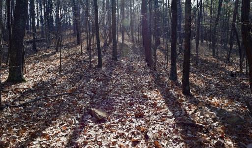 Photo of REDUCED!  1.6 Acres of Residential Hunting Land For Sale in Pittsylvania County VA!