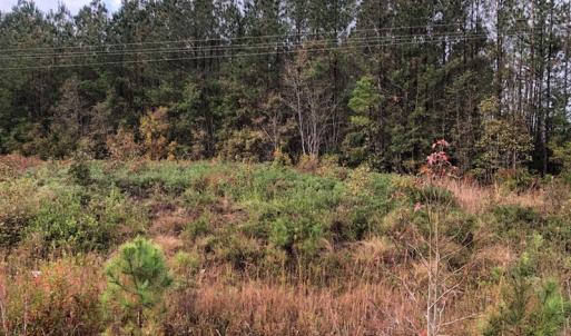 Photo of UNDER CONTRACT!  10 Acres of Timber and Development Land For Sale in Brunswick County NC!