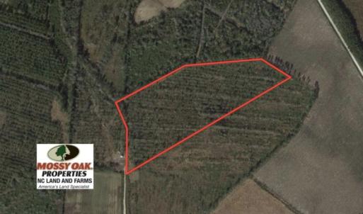 Photo of UNDER CONTRACT!  20 Acres of Hunting and Timber Land for Sale in Columbus County NC!