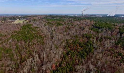 Photo of SOLD!  54 Acres of Hunting and Timber Land For Sale in Person County NC!