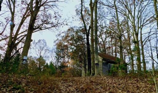 Photo of SOLD!  54 Acres of Hunting and Timber Land For Sale in Person County NC!
