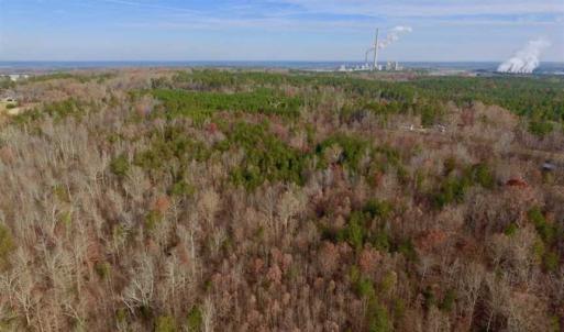 Photo of SOLD!  54 Acres of Hunting and Timber Land For Sale in Person County NC!