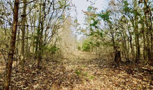 Photo of SOLD!  54 Acres of Hunting and Timber Land For Sale in Person County NC!