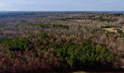 Photo of SOLD!  54 Acres of Hunting and Timber Land For Sale in Person County NC!