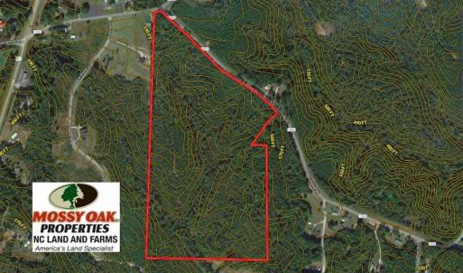 Photo of SOLD!  54 Acres of Hunting and Timber Land For Sale in Person County NC!