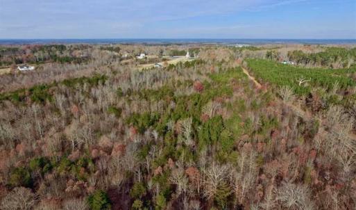 Photo of SOLD!  54 Acres of Hunting and Timber Land For Sale in Person County NC!