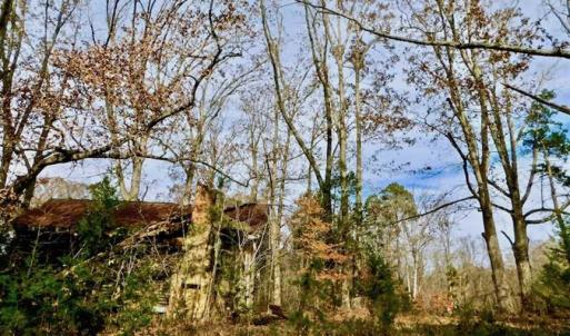Photo of SOLD!  54 Acres of Hunting and Timber Land For Sale in Person County NC!