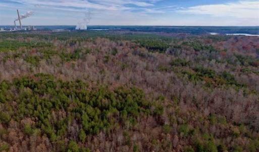 Photo of SOLD!  54 Acres of Hunting and Timber Land For Sale in Person County NC!