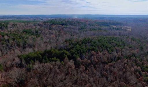 Photo of SOLD!  54 Acres of Hunting and Timber Land For Sale in Person County NC!