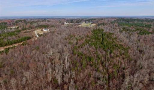 Photo of SOLD!  54 Acres of Hunting and Timber Land For Sale in Person County NC!