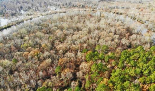 Photo of SOLD!  9.9 Acres of River Front Hunting Land For Sale in Wayne County NC!