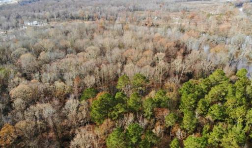 Photo of SOLD!  9.9 Acres of River Front Hunting Land For Sale in Wayne County NC!