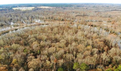 Photo of SOLD!  9.9 Acres of River Front Hunting Land For Sale in Wayne County NC!