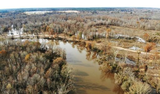 Photo of SOLD!  9.9 Acres of River Front Hunting Land For Sale in Wayne County NC!