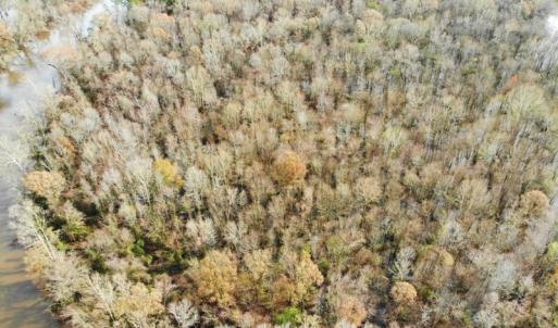 Photo of SOLD!  9.9 Acres of River Front Hunting Land For Sale in Wayne County NC!