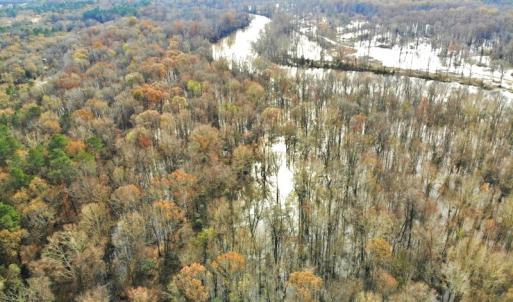 Photo of SOLD!  9.9 Acres of River Front Hunting Land For Sale in Wayne County NC!