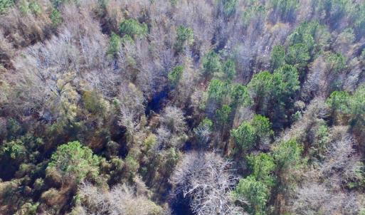 Photo of UNDER CONTRACT!  17.94 Acres of Residential and Hunting Land For Sale in Craven County NC!