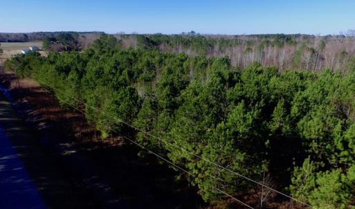 Photo of UNDER CONTRACT!  17.94 Acres of Residential and Hunting Land For Sale in Craven County NC!
