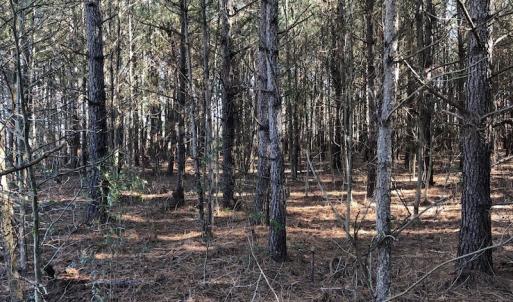 Photo of UNDER CONTRACT!  17.94 Acres of Residential and Hunting Land For Sale in Craven County NC!