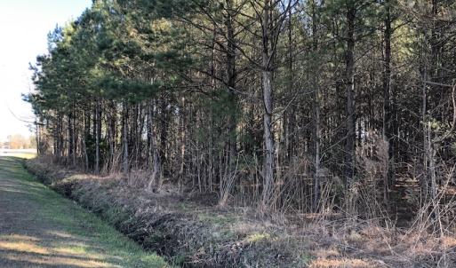 Photo of UNDER CONTRACT!  17.94 Acres of Residential and Hunting Land For Sale in Craven County NC!