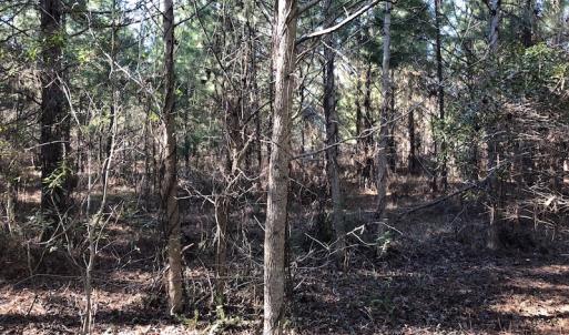 Photo of UNDER CONTRACT!  17.94 Acres of Residential and Hunting Land For Sale in Craven County NC!
