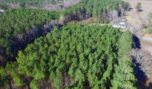 Photo of UNDER CONTRACT!  17.94 Acres of Residential and Hunting Land For Sale in Craven County NC!
