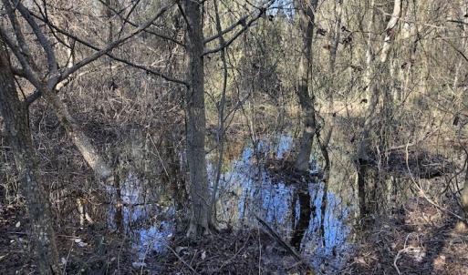 Photo of UNDER CONTRACT!  17.94 Acres of Residential and Hunting Land For Sale in Craven County NC!