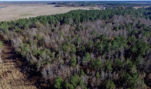 Photo of UNDER CONTRACT!  17.94 Acres of Residential and Hunting Land For Sale in Craven County NC!