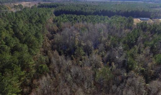Photo of UNDER CONTRACT!  17.94 Acres of Residential and Hunting Land For Sale in Craven County NC!