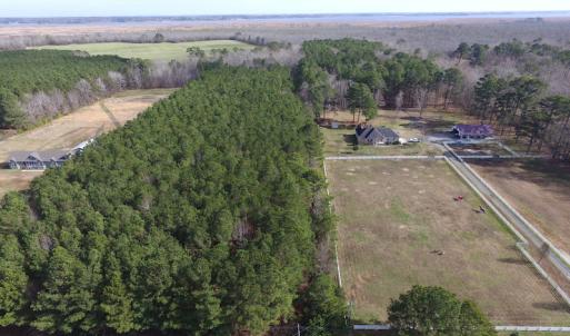 Photo of SOLD!  7.6  Acres of Residential Timber Land for Sale in VA Beach!